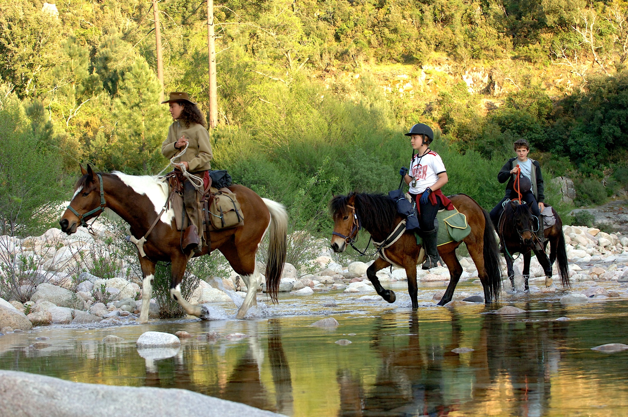 Équitation